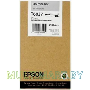 Картридж Epson C13T603700